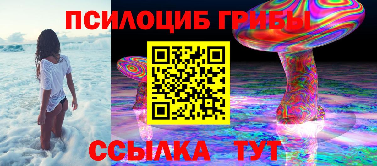 Зеленодольск  Псилоцибиновые грибы Magic Shrooms  Вход с VPN 