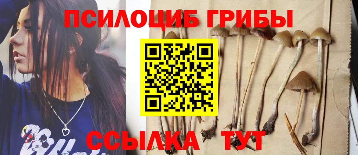 Галлюциногенные грибы ЛСД Зеленодольск